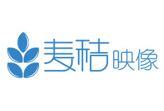 政府大數據展示設計開發,河南鄭州新鄉政府大數據展示中心方案。